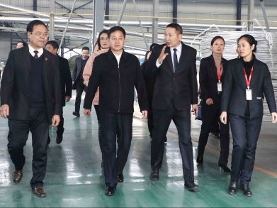 【welcome海洋之神电缆】永州市委书记严华与省人大代表调研经开区优化营商环境工作